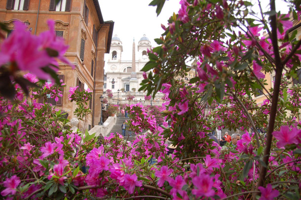 Fleurs Place d'Espagne Rome