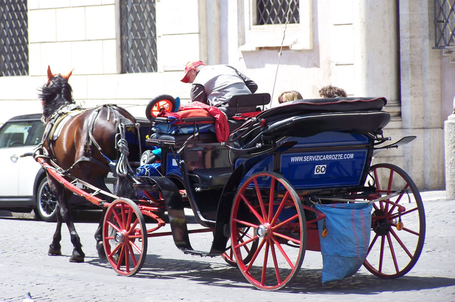 Calèche place Navone