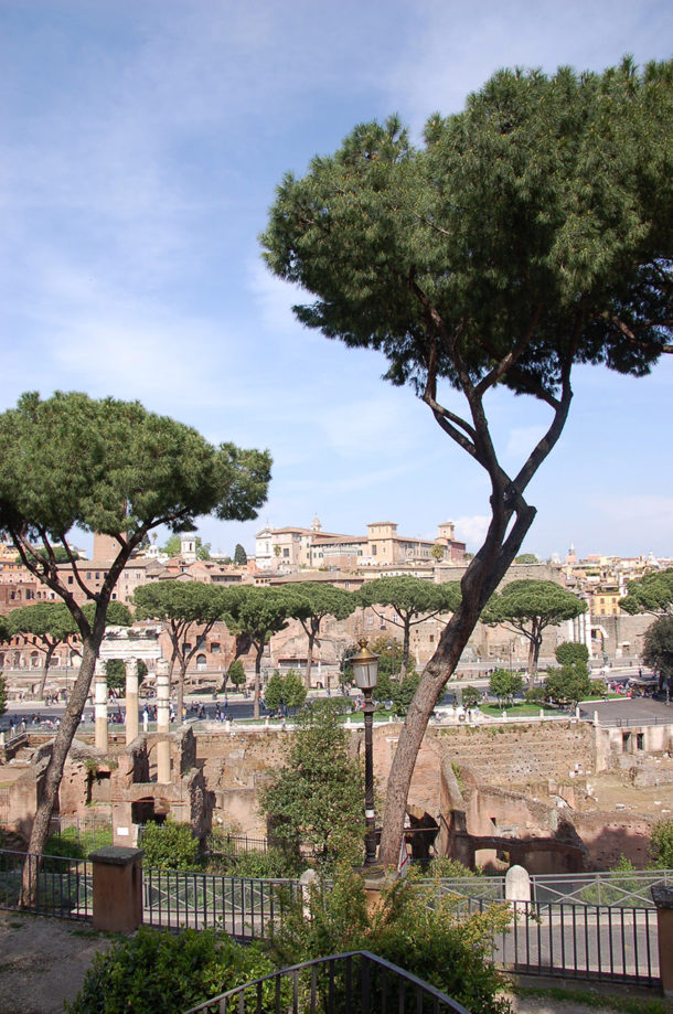 Vue sur le Forum romain