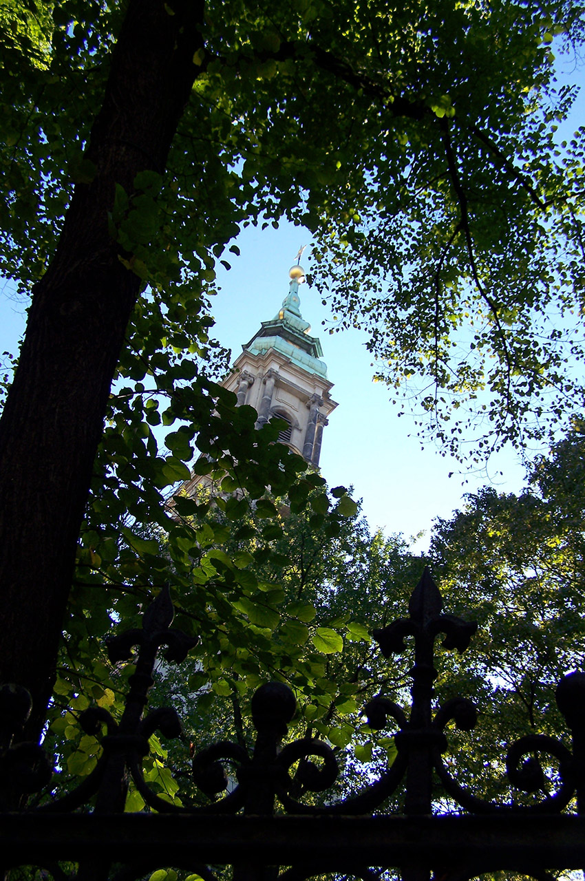 L'église Sophienkirche dans les arbres