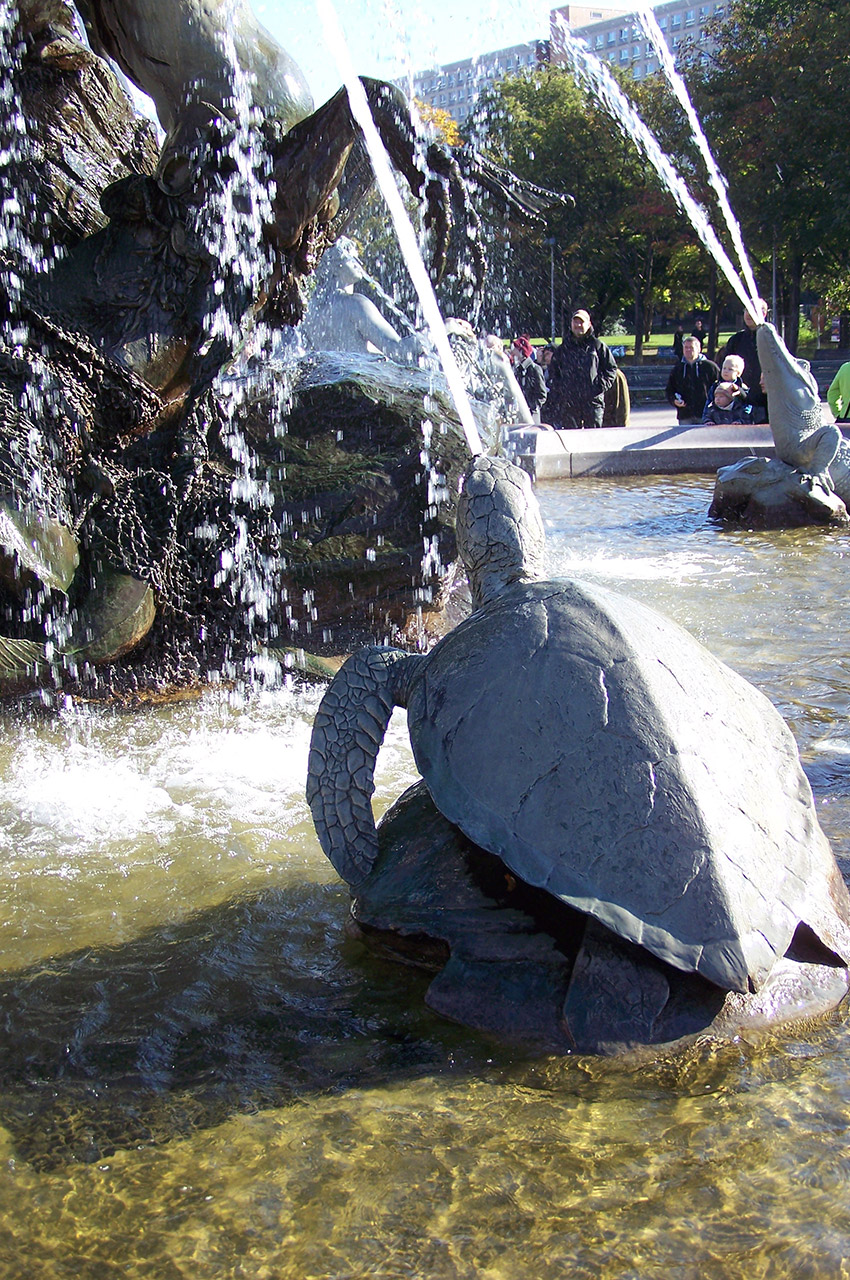 Tortues et crocodiles dans la fontaine de Neptune