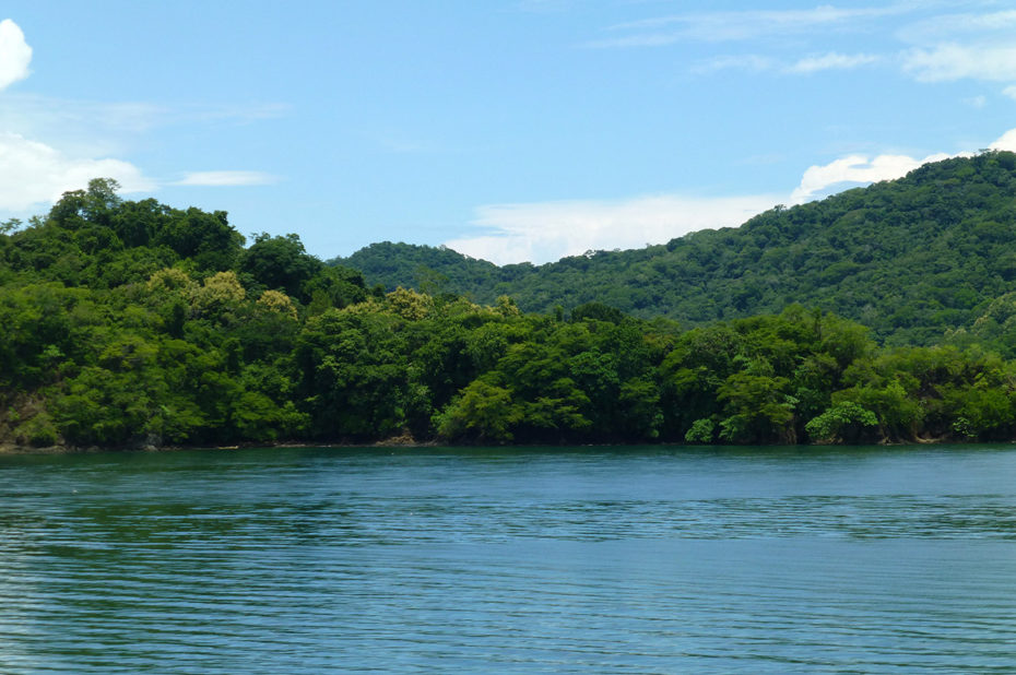 La presqu'île de Nicoya est un îlot de verdure