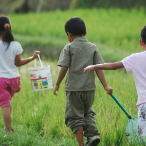 Enfants jouant dans les rizières