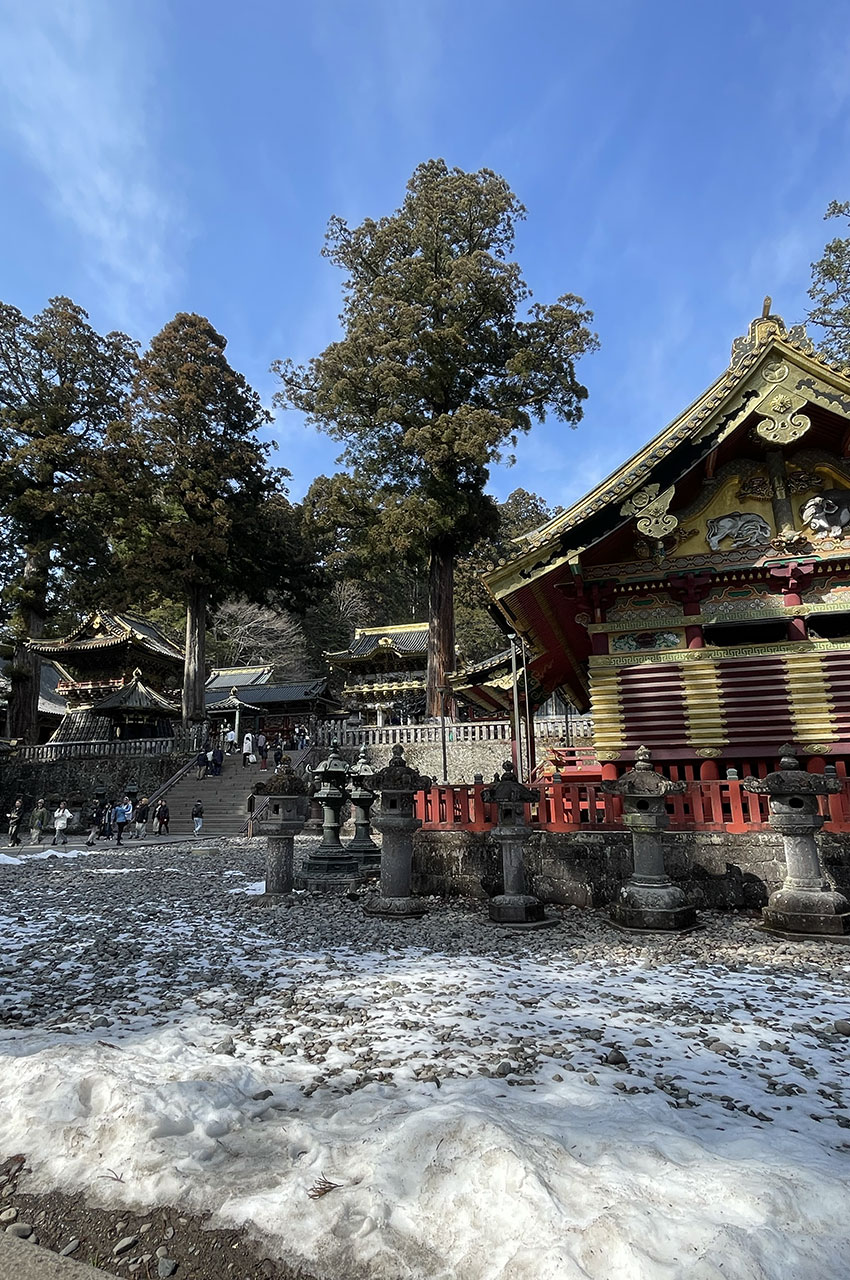 Encore de la neige au sanctuaire Toshogu en ce début mars
