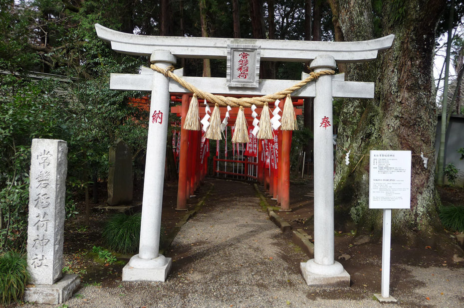 Torii du Tokiwa Jinja, sanctuaire shinto adjacent aux jardins de Kairakuen