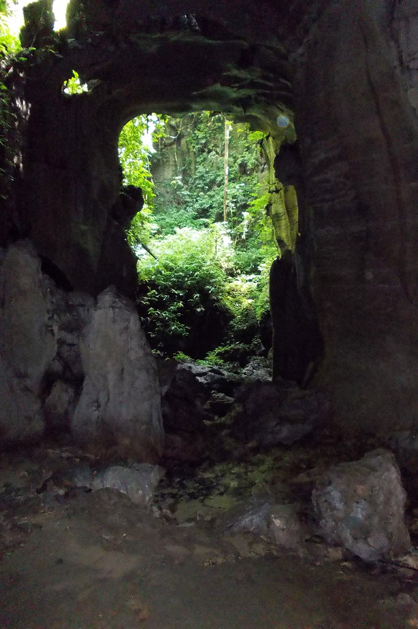 Une grotte dans la forêt