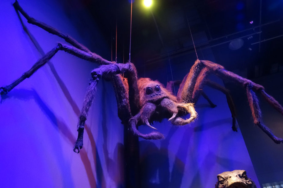 Aragog, une acromentule ramenée par Hagrid à Poudlard