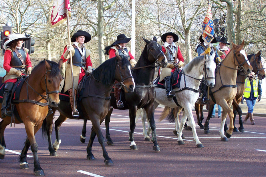 De magnifiques chevaux pour le défilé