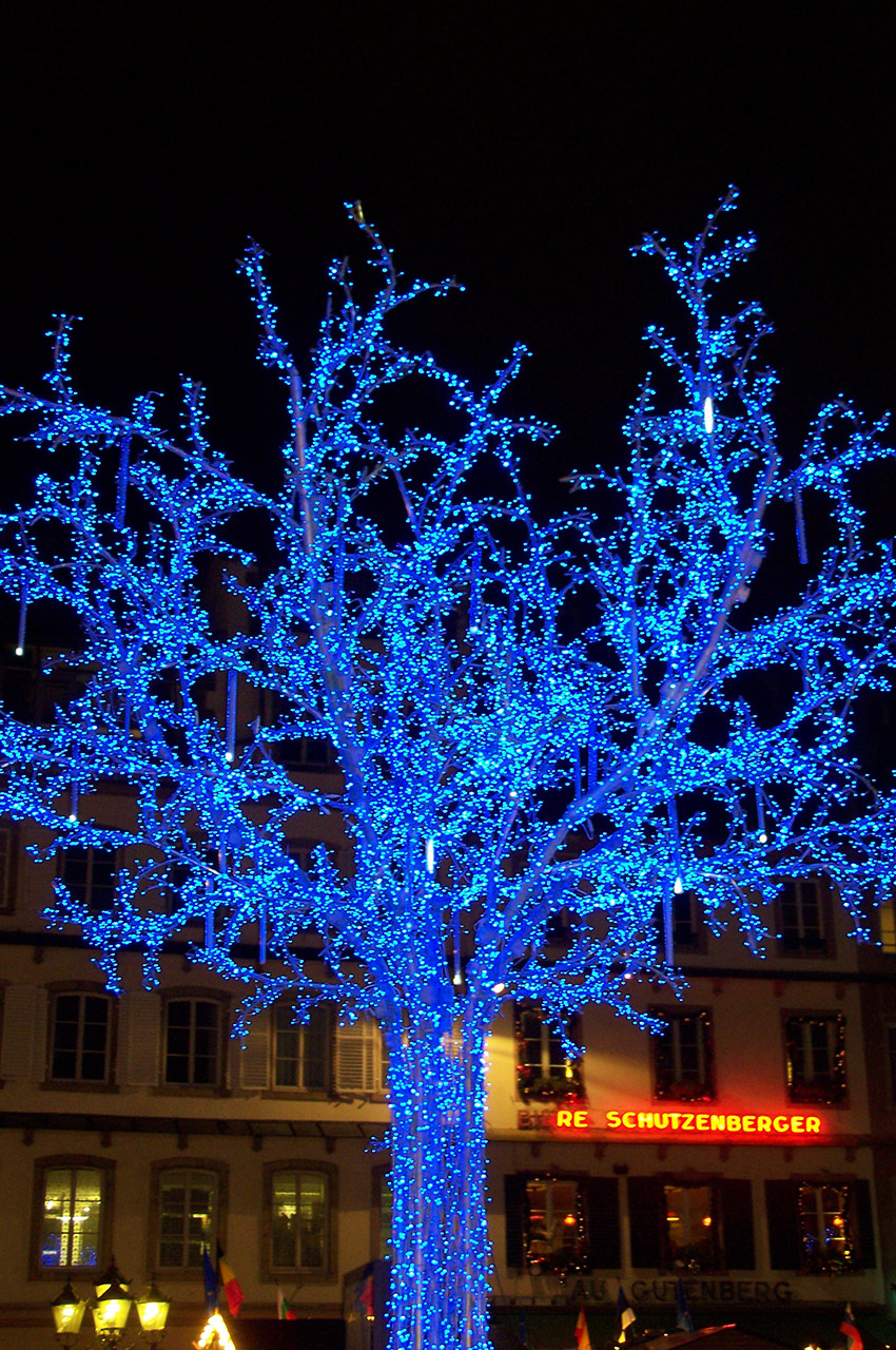 Un arbre brillant de milliers de lumières bleues