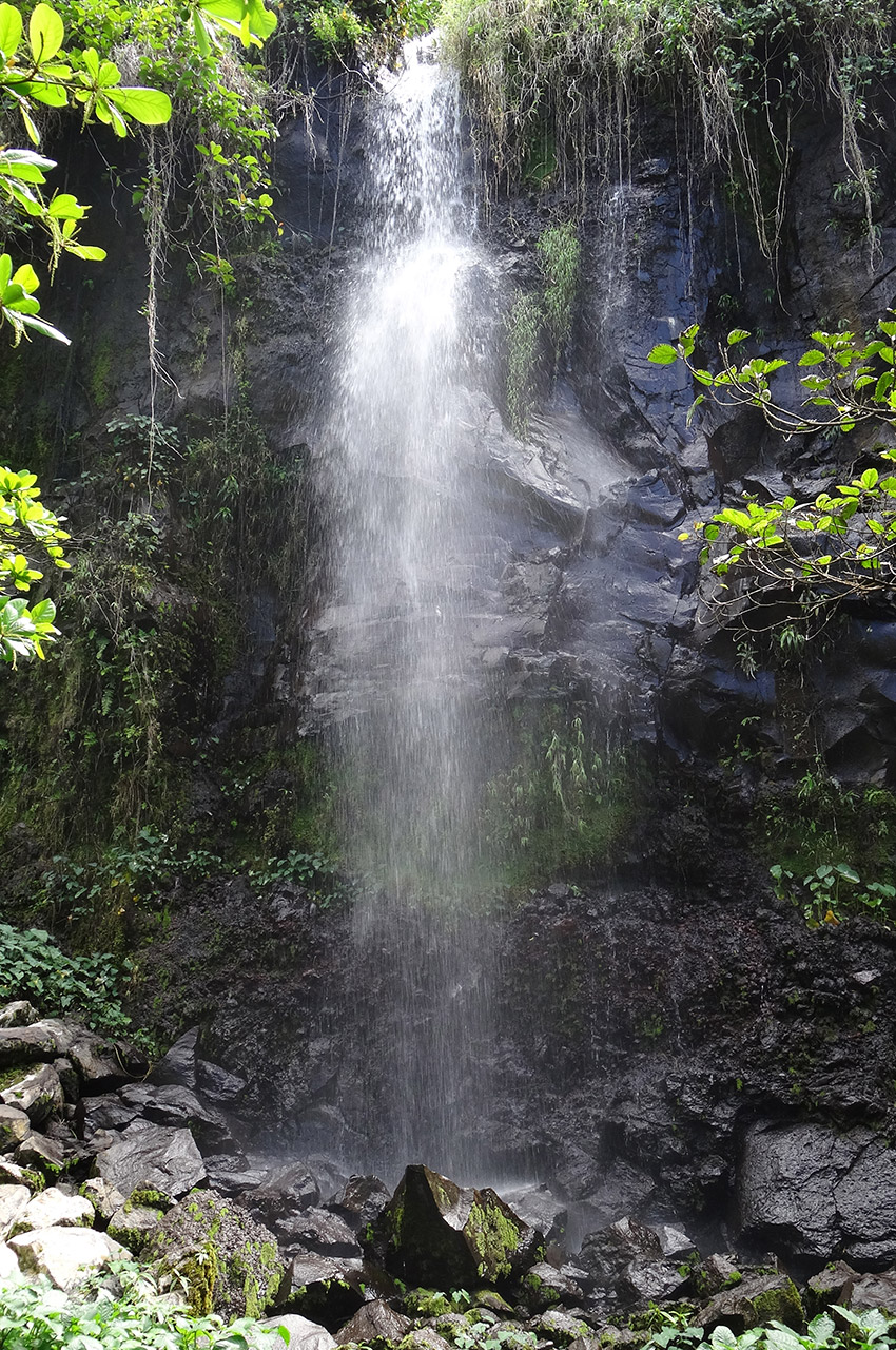 Une cascade au beau milieu de la forêt