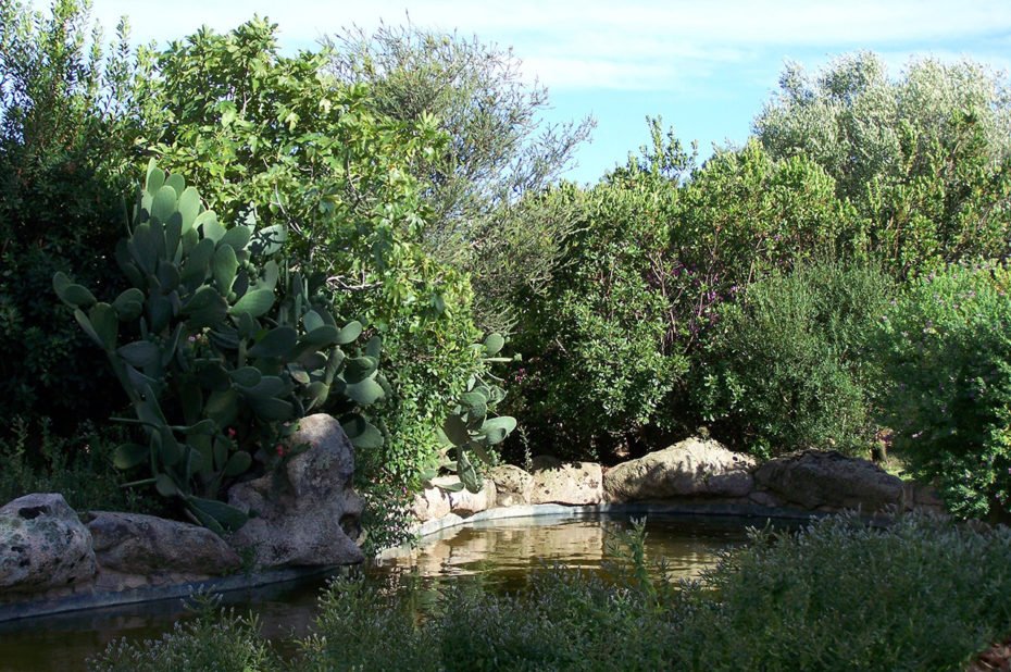 Végétation dense au cœur d'Olbia dans le parc Fausto Noce