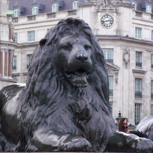 L'un des lions gardiens de la statue de l'Amiral Nelson