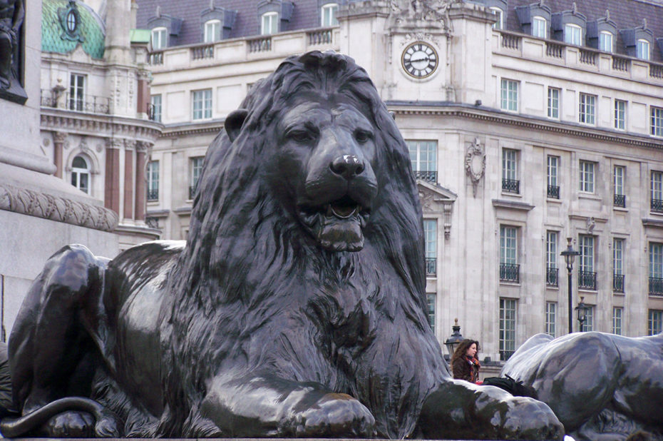 L'un des lions gardiens de la statue de l'Amiral Nelson