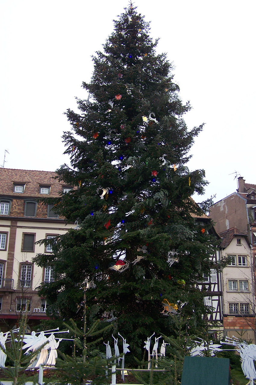 Le sapin de Noël géant de la place Kléber
