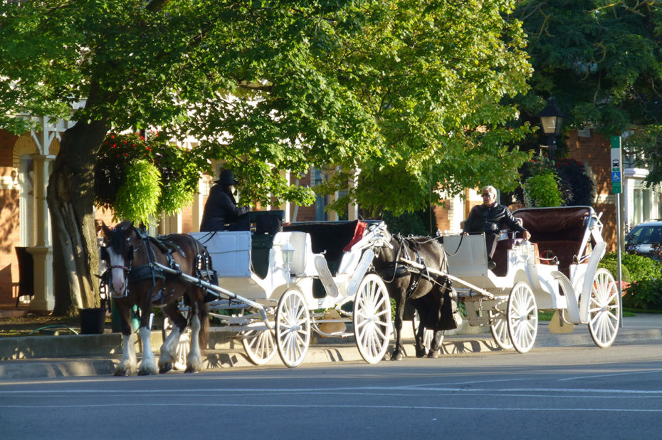 Des calèches pour promener les touristes