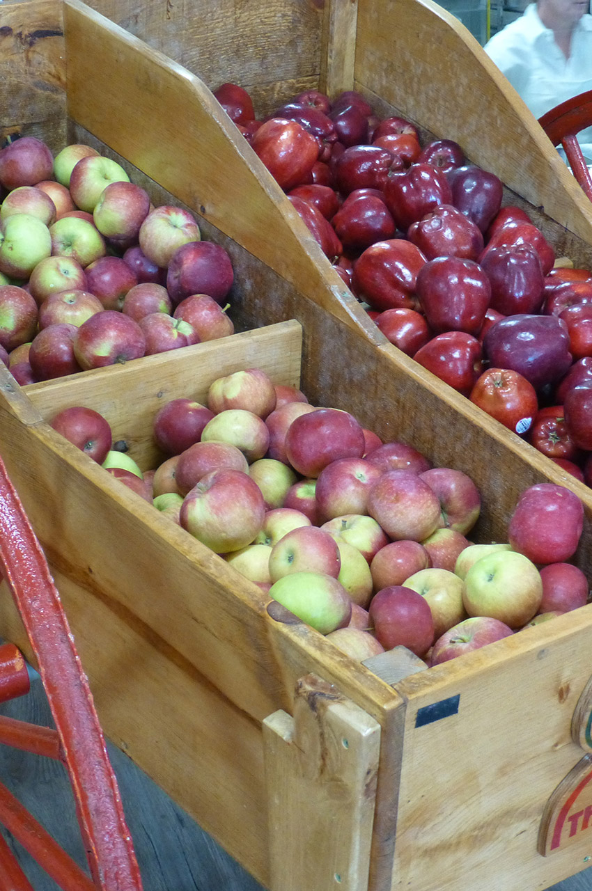 Pommes rouges dans un chariot