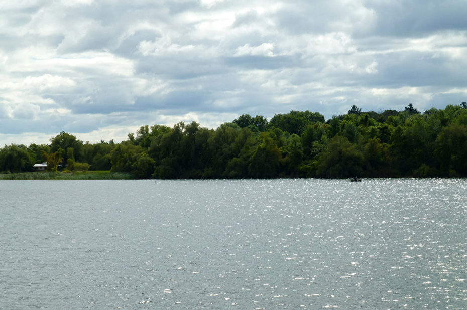 Beaucoup d'arbres et de végétation sur les îles