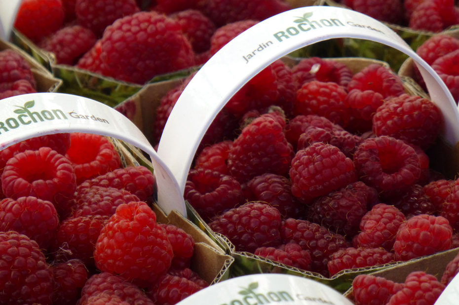 Des framboises du jardin Rochon, producteur local à Ottawa