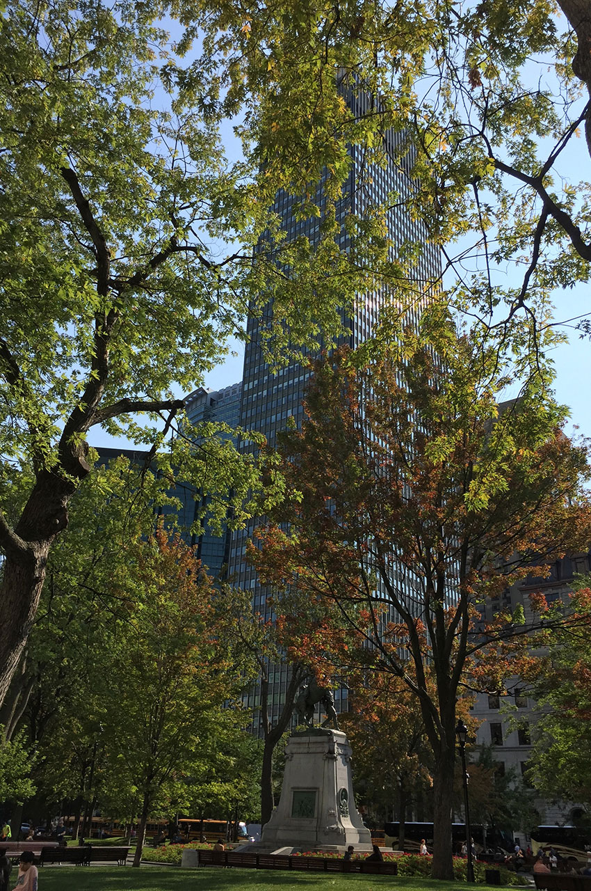 Les premières couleurs de l'automne à Montréal