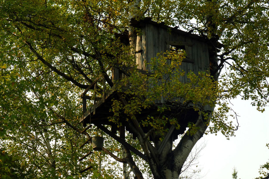 Une cabane dans les arbres