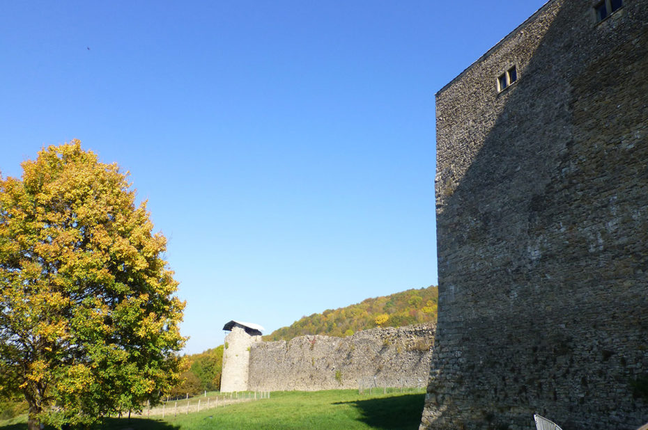 Le château des Allymes, forteresse médiévale du XIVe siècle