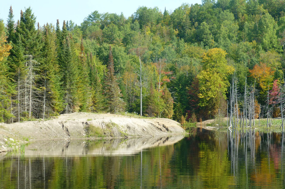 Les couleurs de l'automne se reflètent sur l'eau