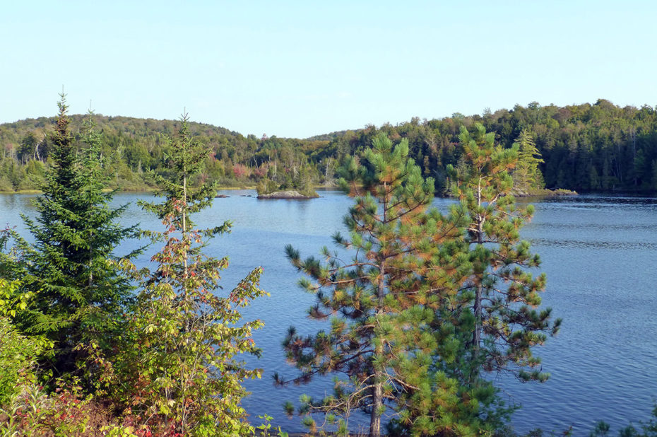 Le lac Blanc entouré d'arbres se parant doucement de leurs couleurs d'automne