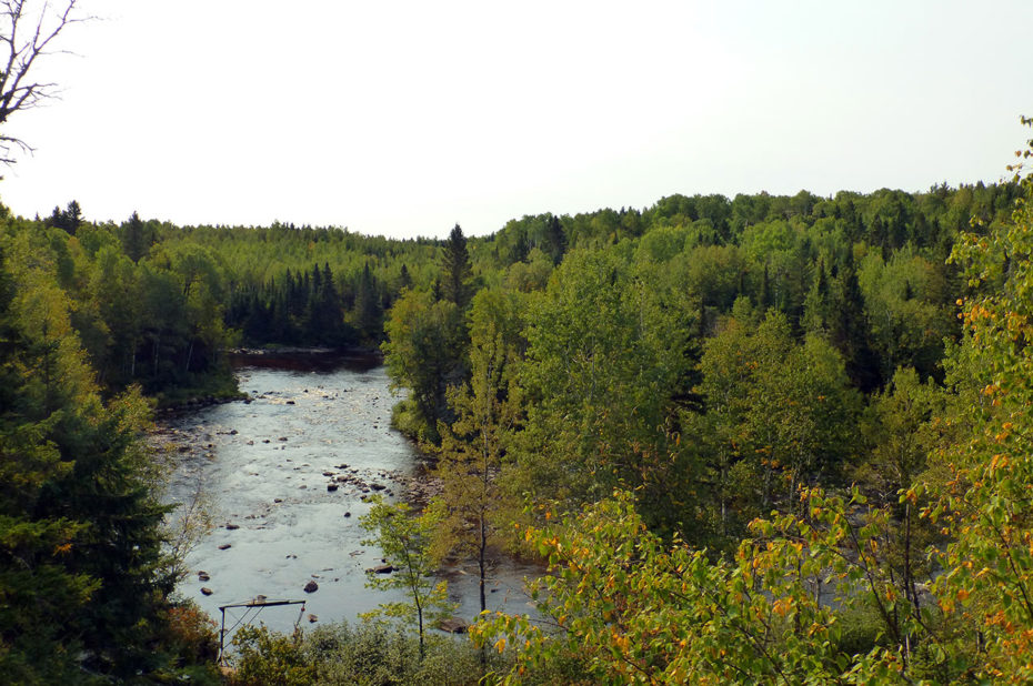 Rivière traversant le zoo de Saint-Félicien