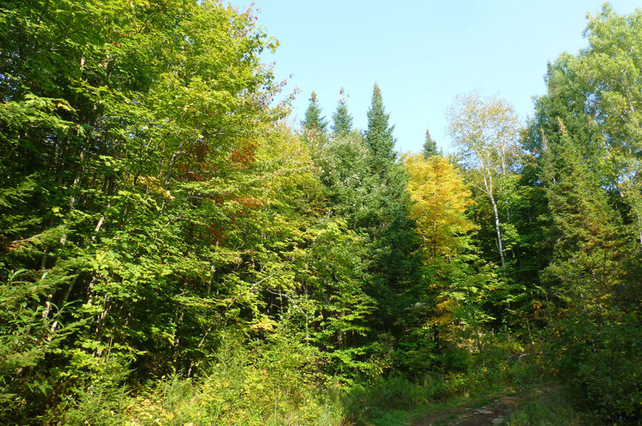 Sur le chemin de randonnée en direction du belvédère