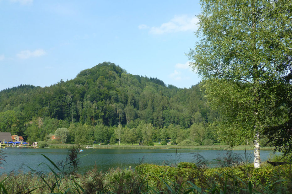 Au bord de l'étang Stockenweiler Weiher, à Hergensweiler