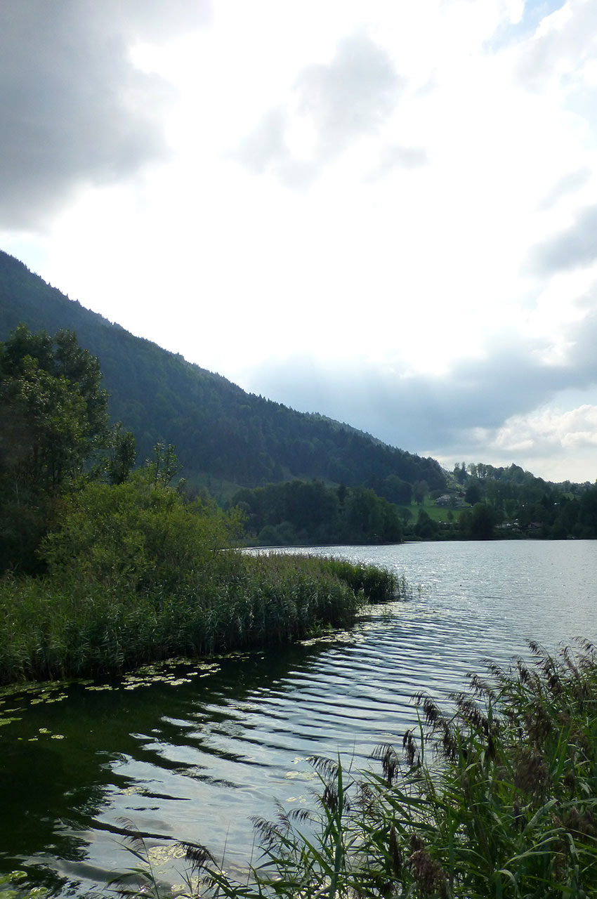 L'un des bras de l'étang Stockenweiler Weiher