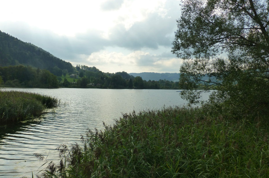 L'étang Stockenweiler Weiher, un coin idéal pour les pêcheurs