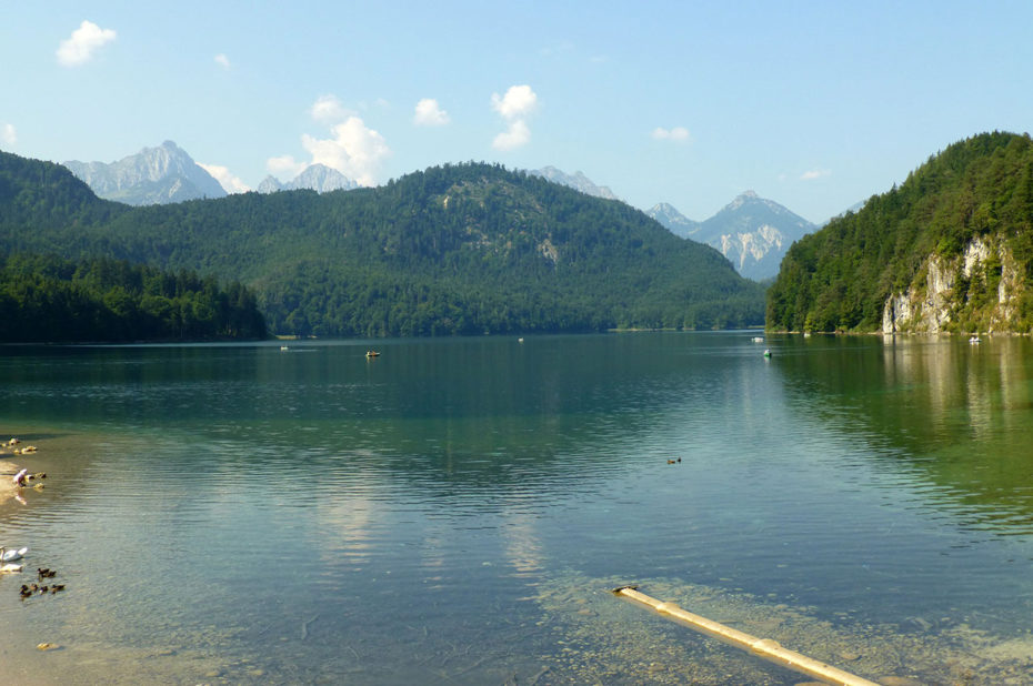 Le lac Alpsee, un des lacs les plus propres d'Allemagne