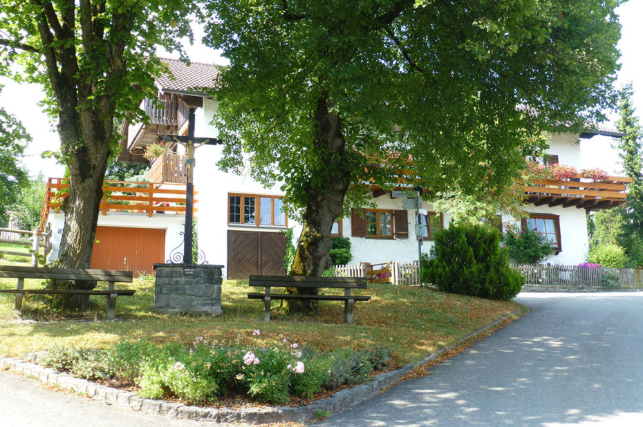 Une belle maison dans les arbres