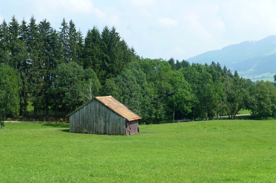 Une cabane au milieu d'un champ