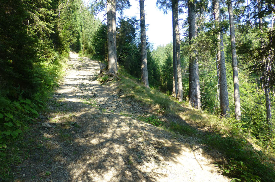 Le chemin de randonnée monte vers les alpages