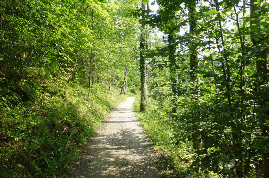 Sur le chemin qui fait le tour du lac Weissensee