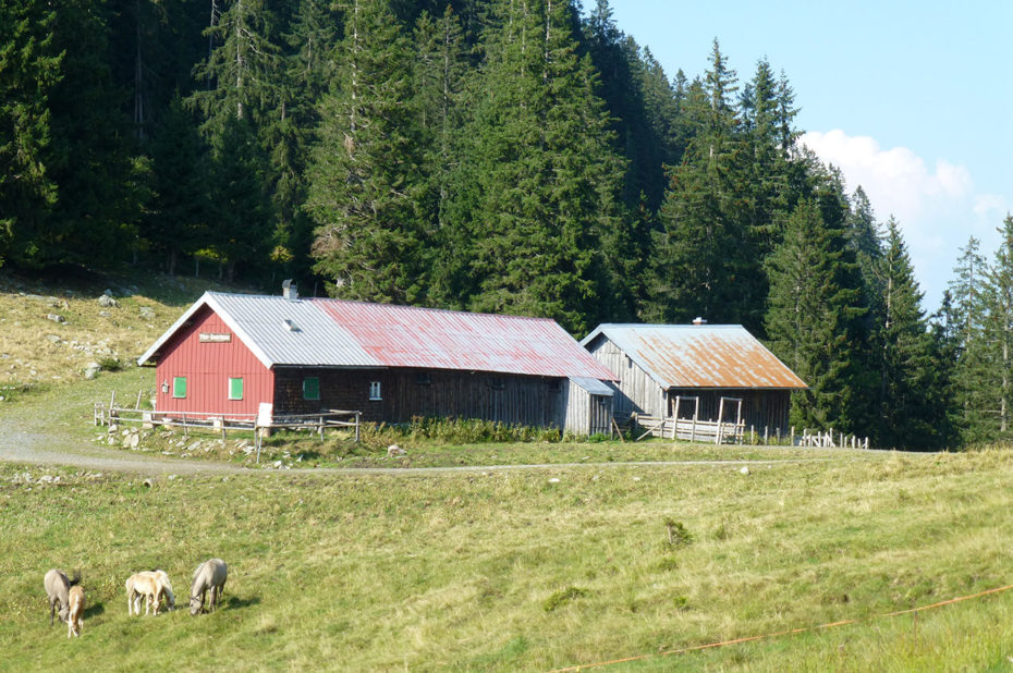 Ferme dans les alpages, en direction de Reuterwanne