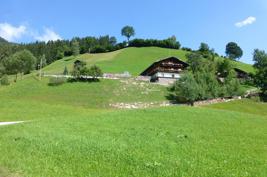 La maison d'hôtes Ferienwohnung Birkleiten sur sa colline