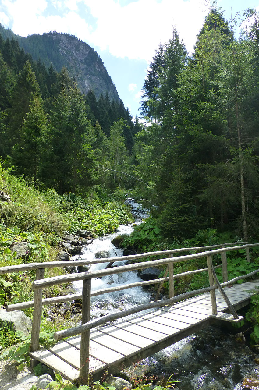 Petit pont de bois pour traverser le torrent