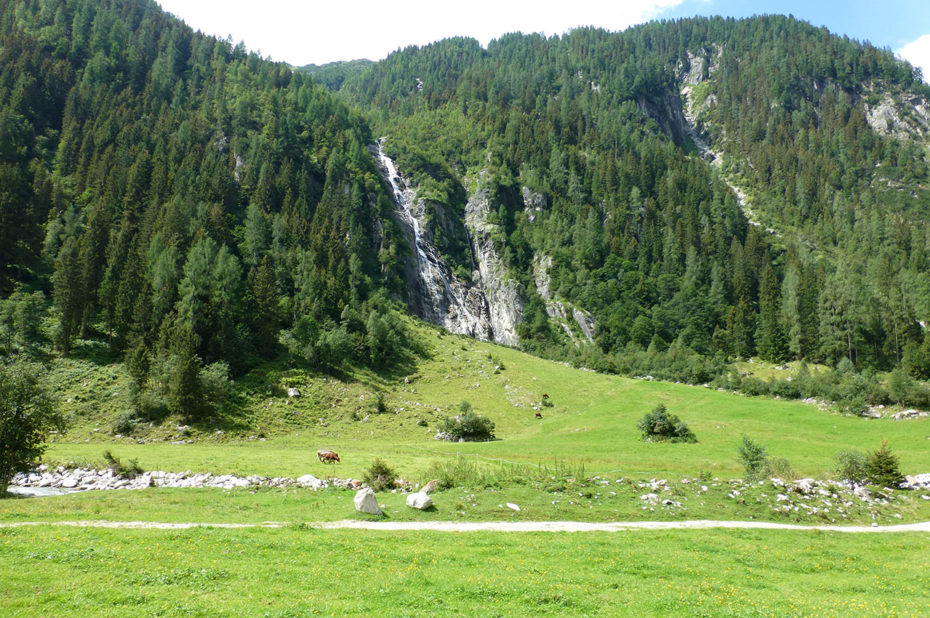 Le plateau entre alpages, forêts et cascades