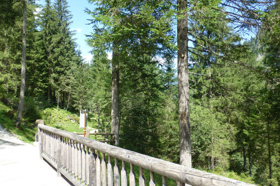 Pont et poste d'observation avec pancartes explicatives