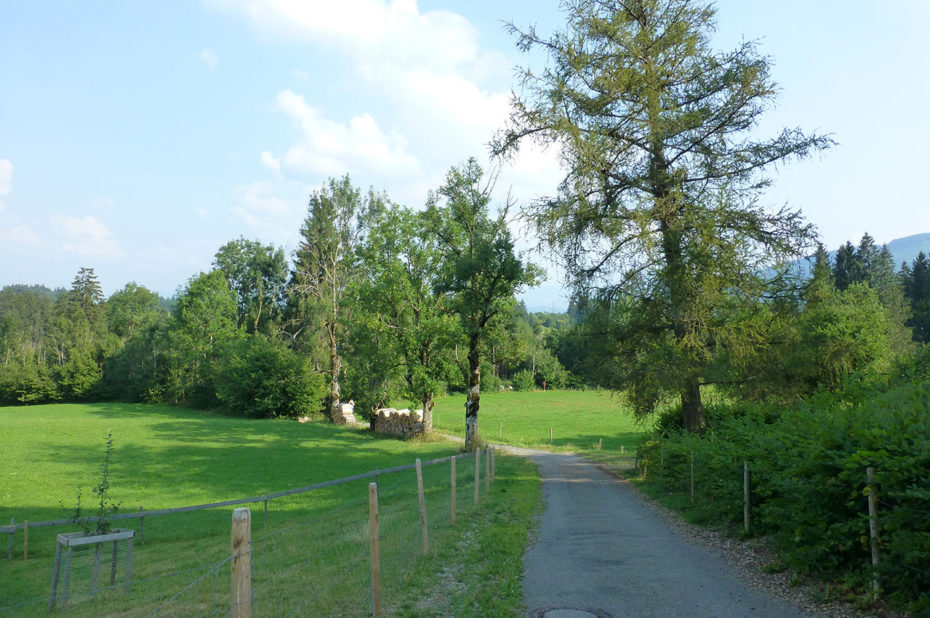 Route de campagne sur les hauteurs de Oy-Mittelberg