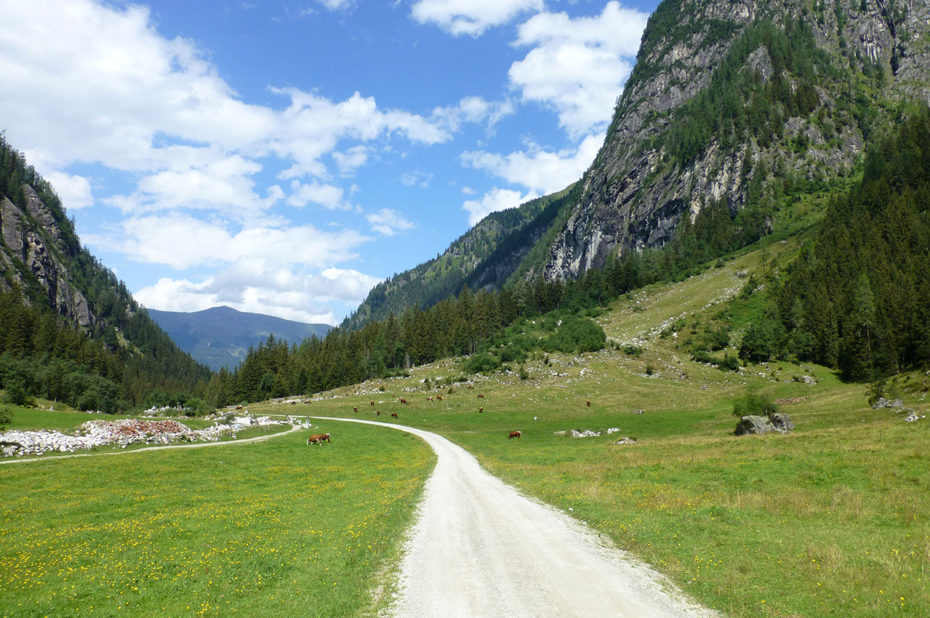 Tout au bout du chemin, à proximité de Enzianhütte