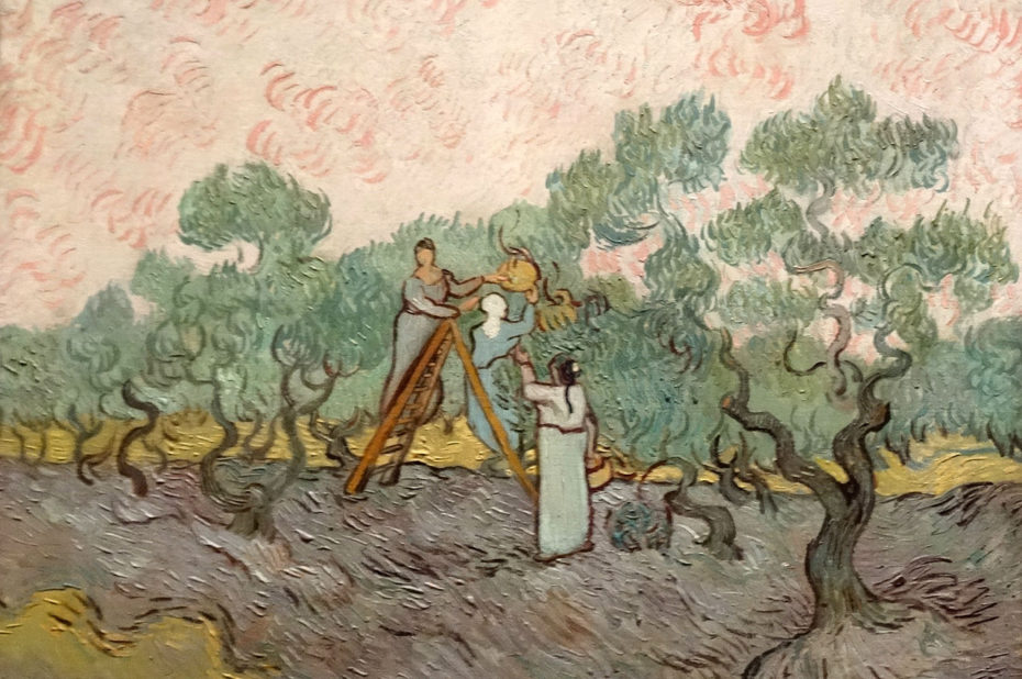 Femmes ramassant des olives de Vincent Van Gogh