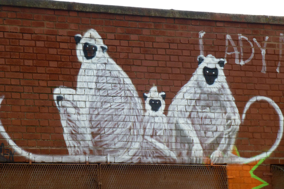 Famille de singes blancs