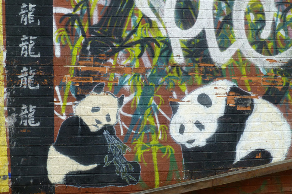 Pandas de Chine