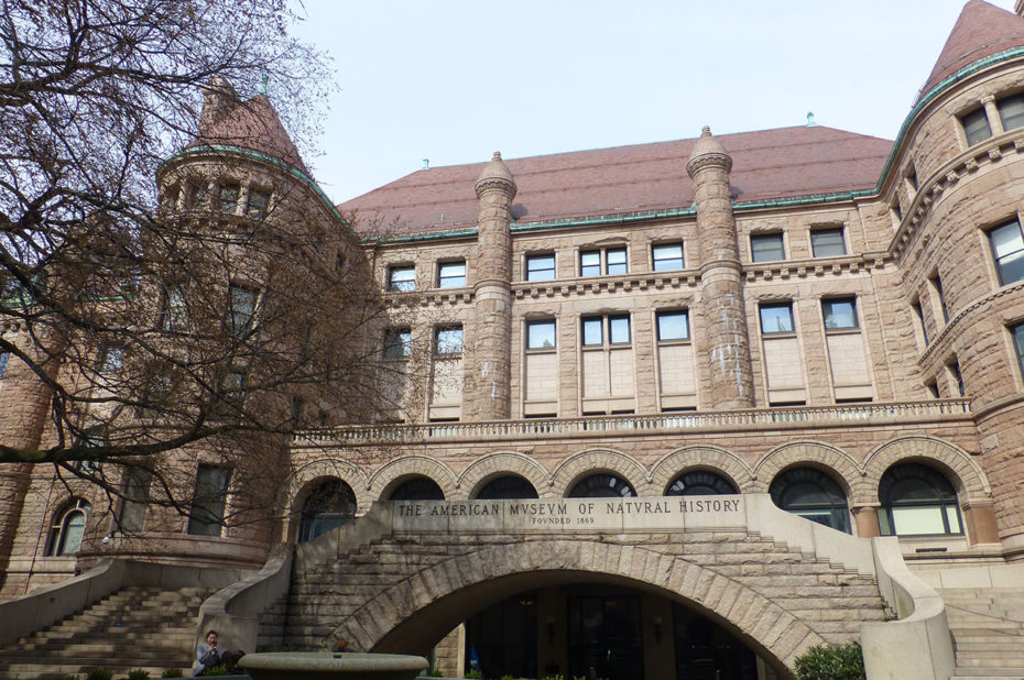 Musée américain d'Histoire Naturelle de New York