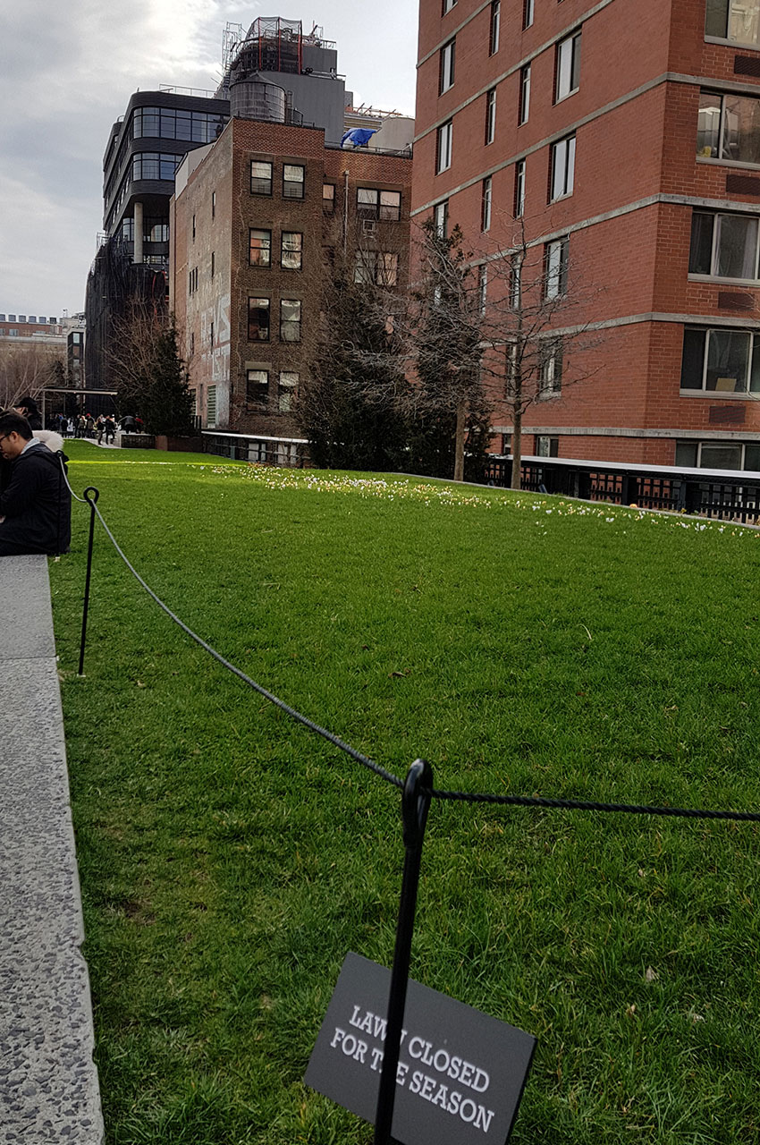 Promenade verte au cœur de New York