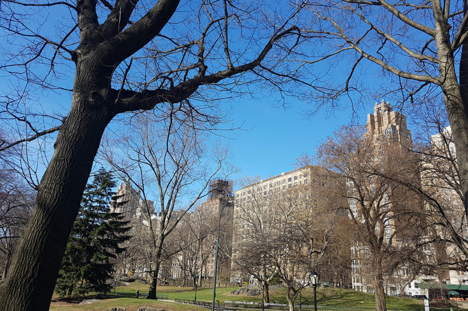 Dans les allées du parc, entouré des hauts buildings new-yorkais